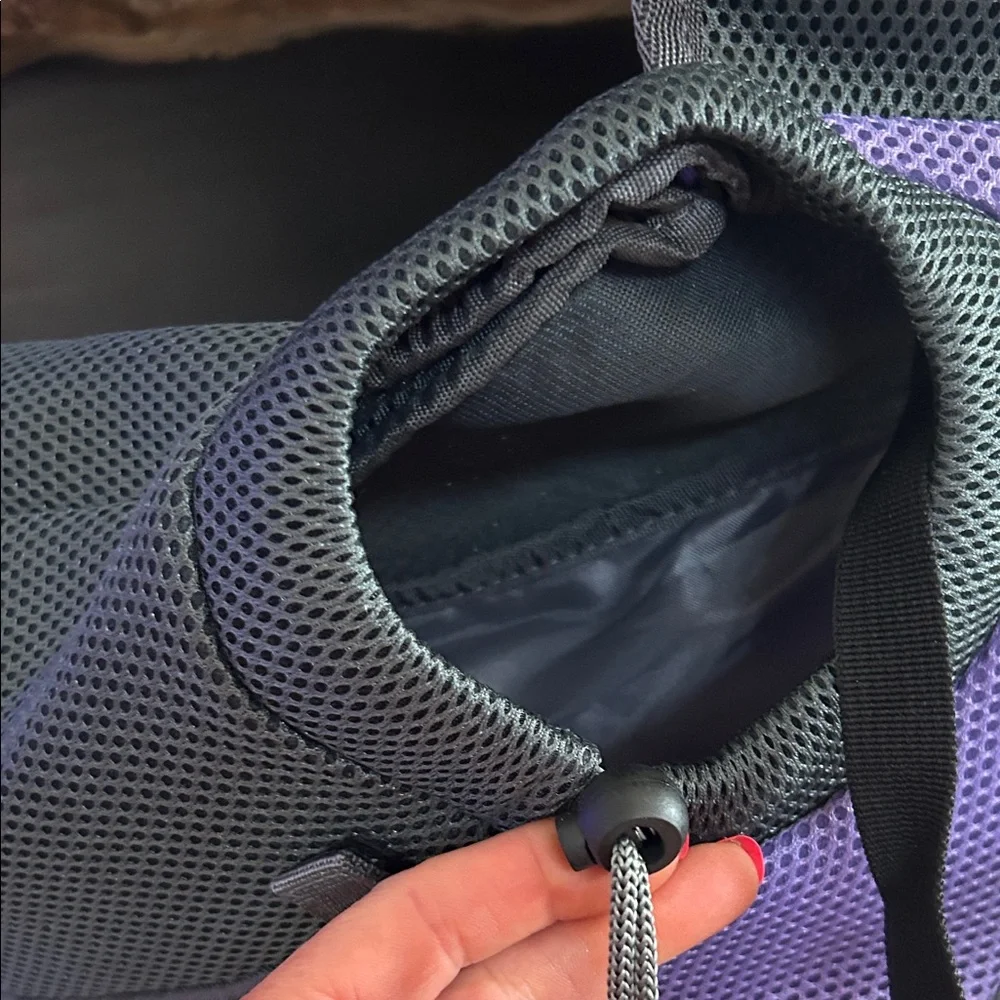 New Purple and Gray Dog Carrier.